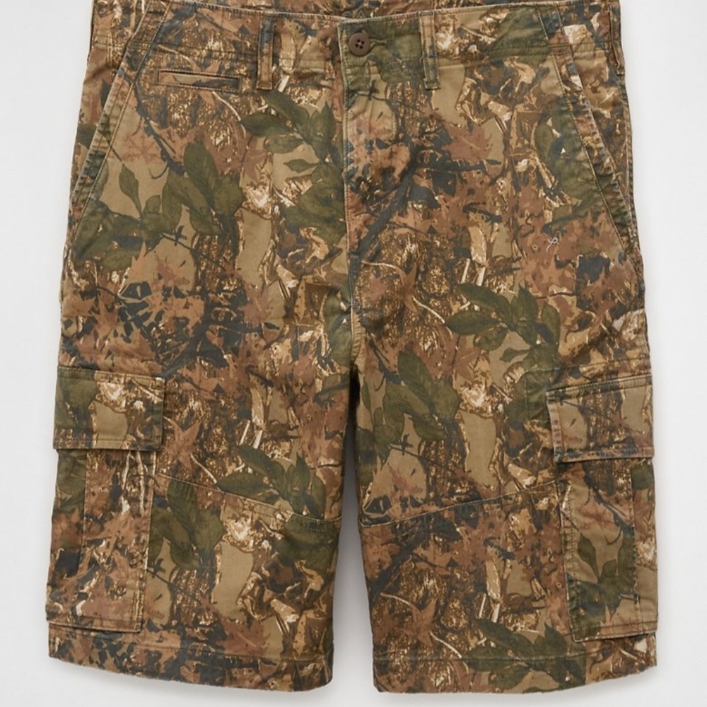 Men’s American Eagle Lived-In Cargo Shorts Size 34 NWT
